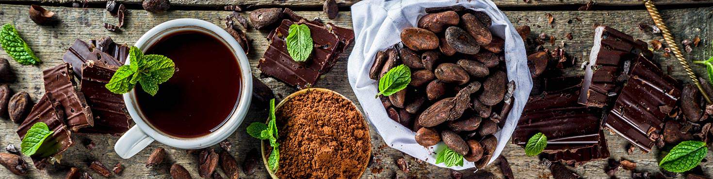 What to Do if Your Beagle Ate Chocolate? A Crucial Guide